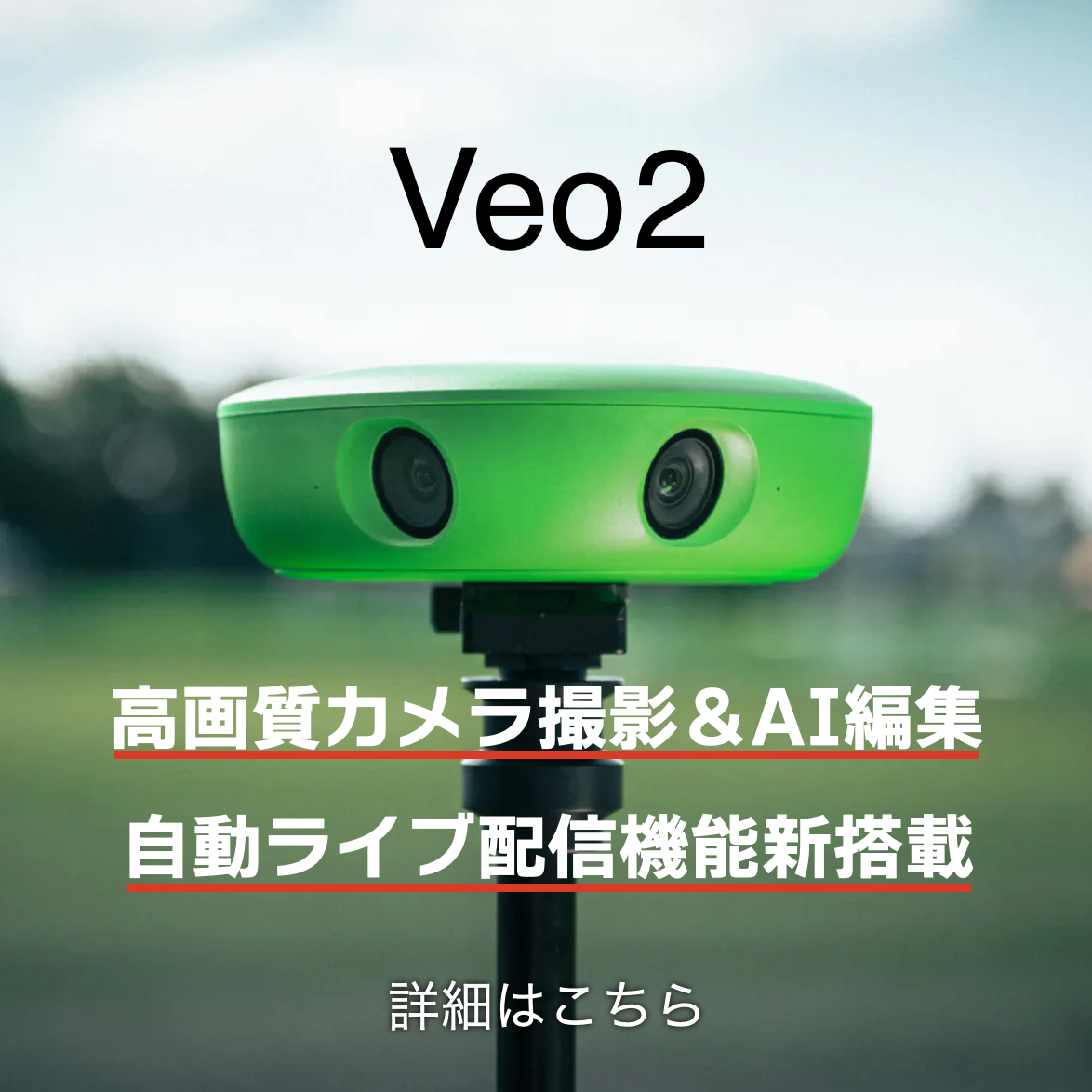veo2